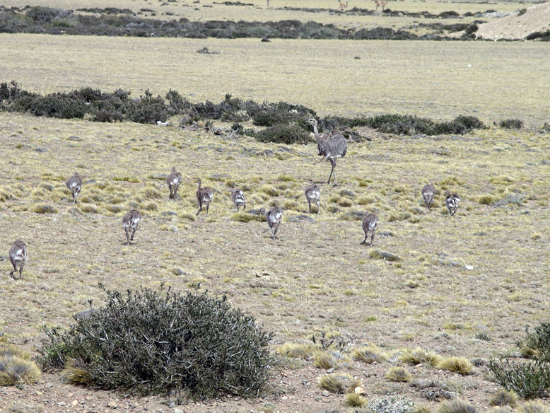no hay nada como la familia.