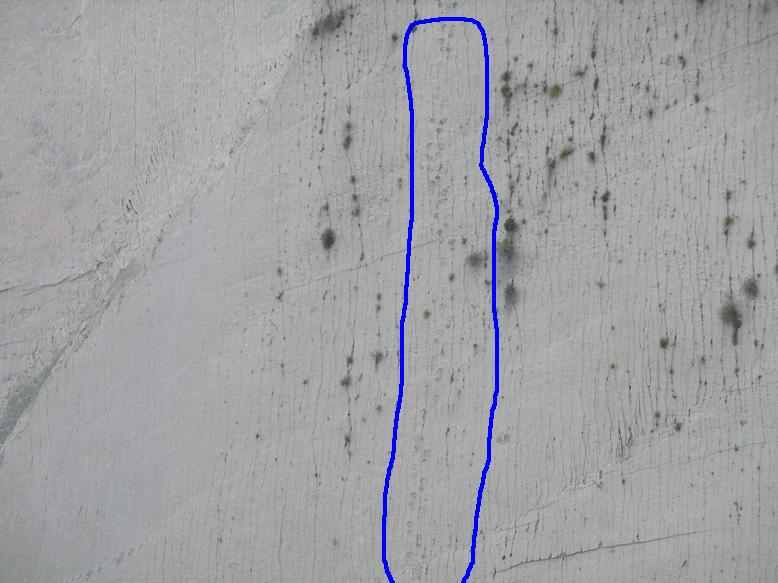 Huellas de dinosaurio