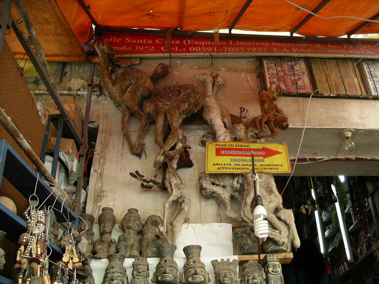 Mercado de las Brujas