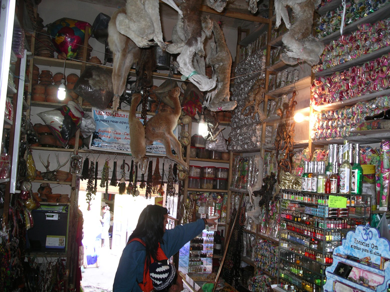 proceso de adquisición de una llamita para ritual de Santeria