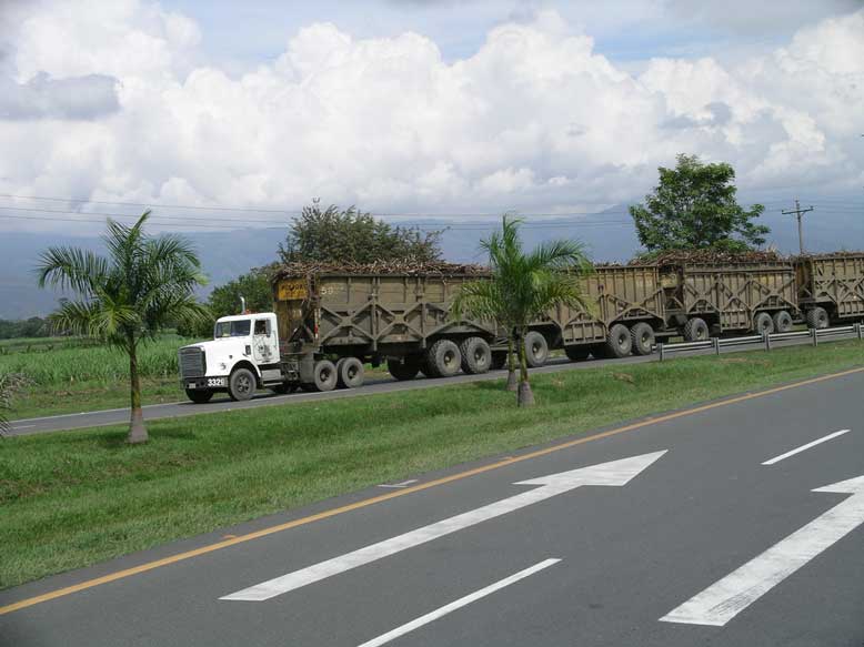 tren de caña de azucar..cuando te cruzas con uno de ellos en la carretera se te para el corazón