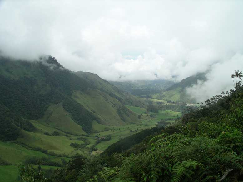 mar de nubes en el valle del cocora
