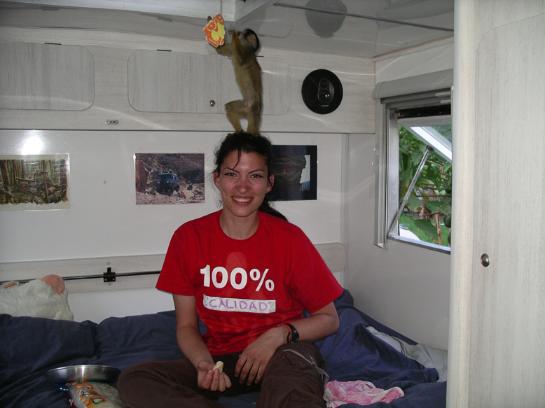 lo podreis encontrar en el camping de Santa Teresa