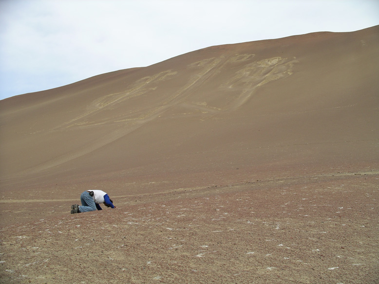 es el sueño alcanzado!!!!